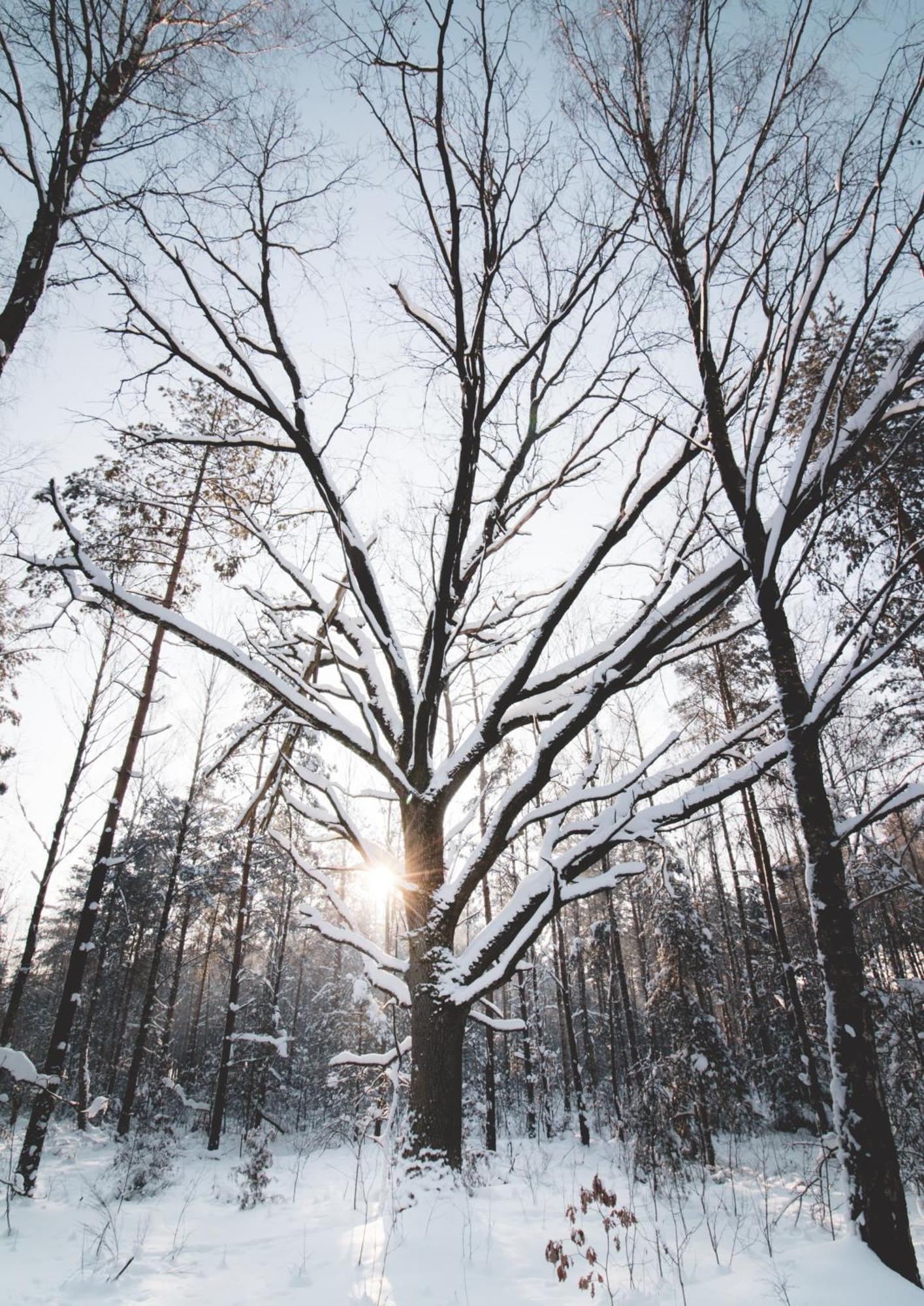 Lesna 21 Dom Poludnie Przy Puszcza Bialowieska Luka 外观 照片
